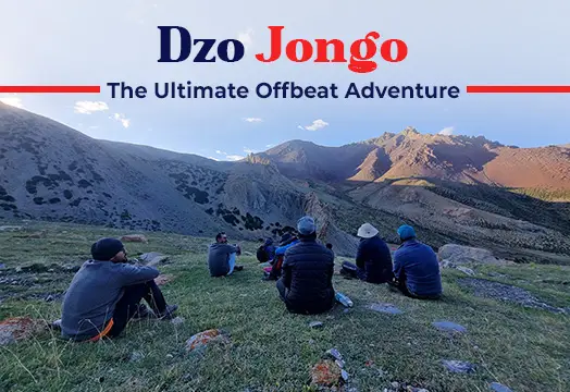 Dzo Jongo: The Ultimate Offbeat Adventure